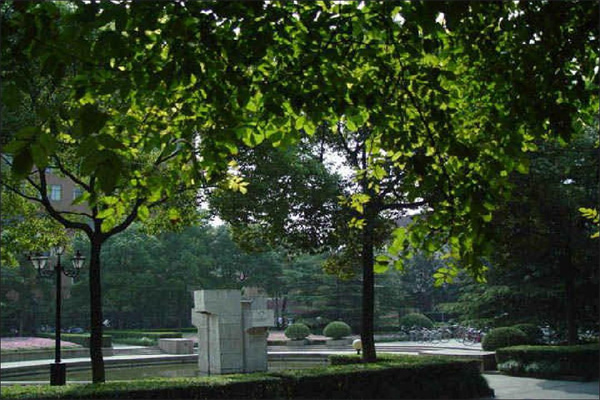 伟思医疗4月30日龙虎榜数据
