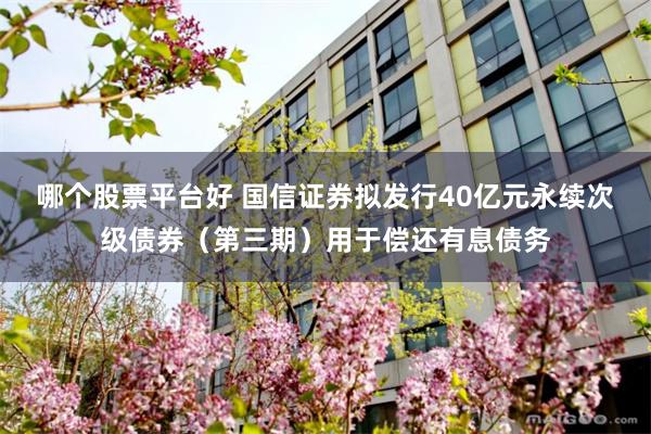 哪个股票平台好 国信证券拟发行40亿元永续次级债券（第三期）用于偿还有息债务