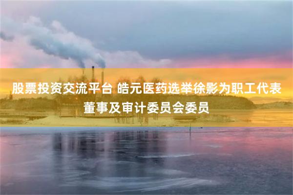 股票投资交流平台 皓元医药选举徐影为职工代表董事及审计委员会委员
