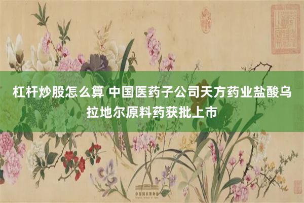 杠杆炒股怎么算 中国医药子公司天方药业盐酸乌拉地尔原料药获批上市