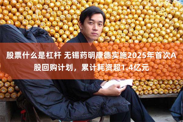 股票什么是杠杆 无锡药明康德实施2025年首次A股回购计划，累计耗资超1.4亿元