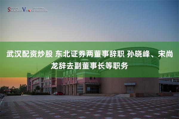 武汉配资炒股 东北证券两董事辞职 孙晓峰、宋尚龙辞去副董事长等职务