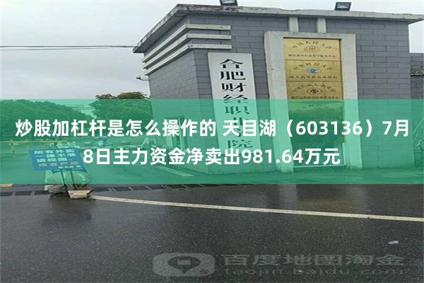 炒股加杠杆是怎么操作的 天目湖（603136）7月8日主力资金净卖出981.64万元