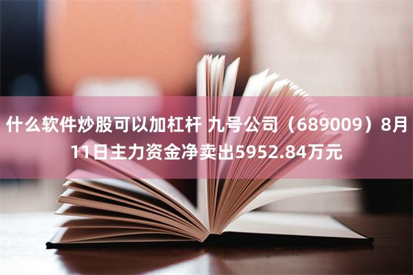 什么软件炒股可以加杠杆 九号公司（689009）8月11日主力资金净卖出5952.84万元
