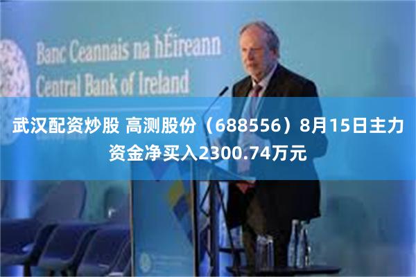 武汉配资炒股 高测股份（688556）8月15日主力资金净买入2300.74万元