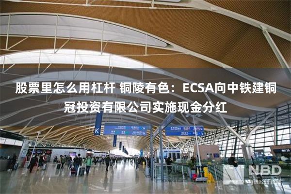 股票里怎么用杠杆 铜陵有色：ECSA向中铁建铜冠投资有限公司实施现金分红