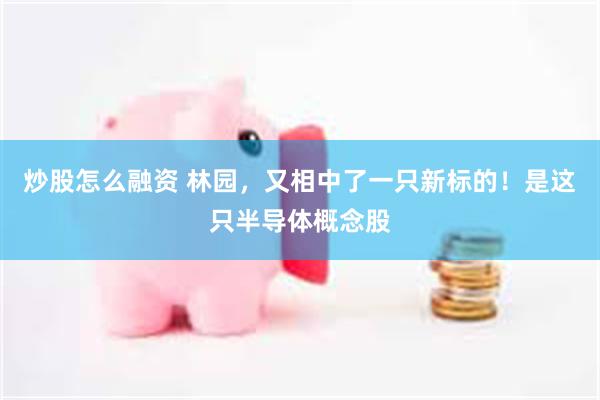 炒股怎么融资 林园，又相中了一只新标的！是这只半导体概念股