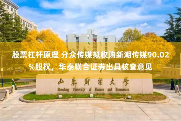 股票杠杆原理 分众传媒拟收购新潮传媒90.02%股权，华泰联合证券出具核查意见