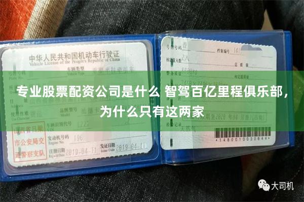 专业股票配资公司是什么 智驾百亿里程俱乐部,为什么只有这两家