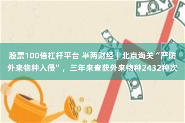 股票100倍杠杆平台 半两财经｜北京海关“严防外来物种入侵”，三年来查获外来物种2432种次