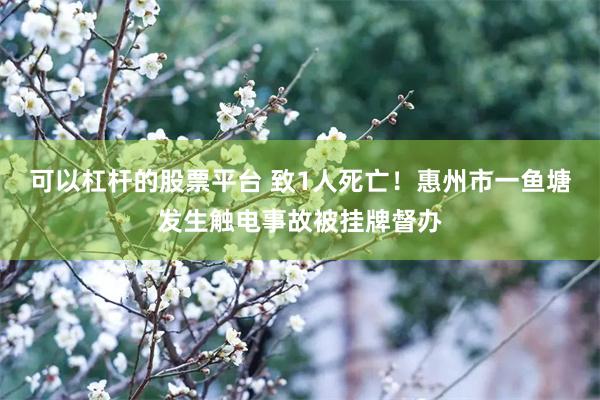 可以杠杆的股票平台 致1人死亡！惠州市一鱼塘发生触电事故被挂牌督办
