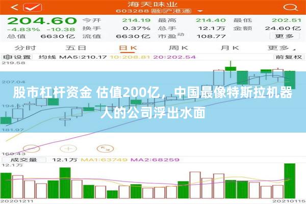 股市杠杆资金 估值200亿，中国最像特斯拉机器人的公司浮出水面