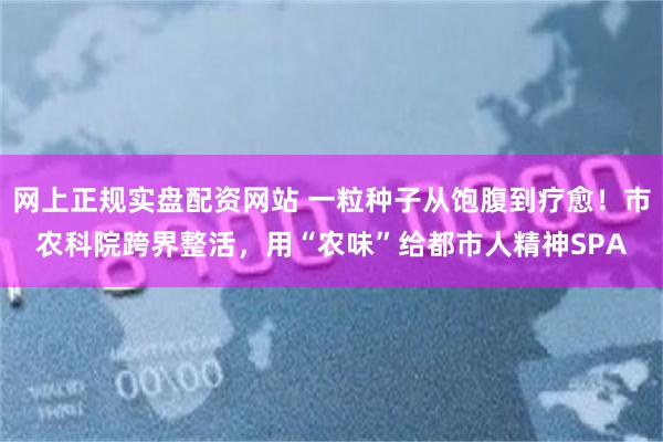 网上正规实盘配资网站 一粒种子从饱腹到疗愈！市农科院跨界整活，用“农味”给都市人精神SPA