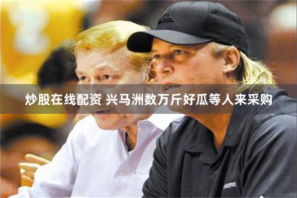 炒股在线配资 兴马洲数万斤好瓜等人来采购