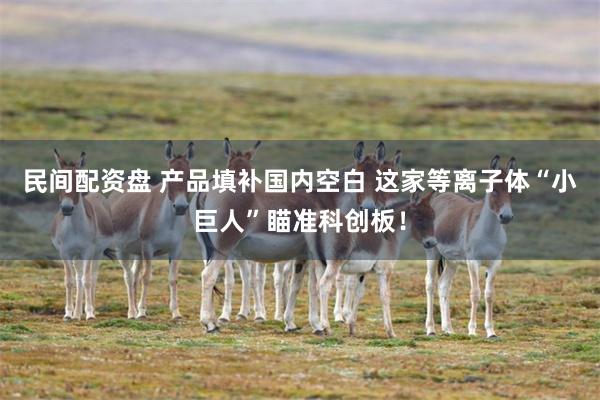 民间配资盘 产品填补国内空白 这家等离子体“小巨人”瞄准科创板！