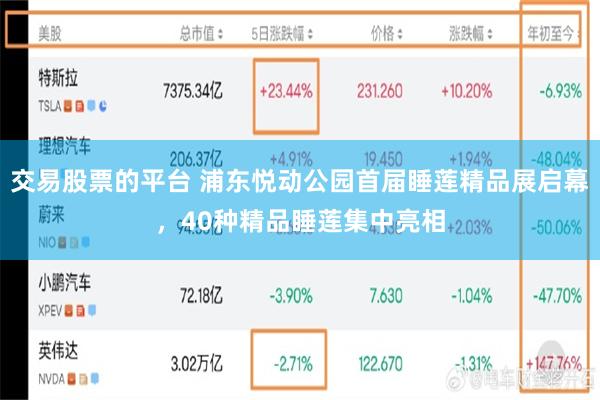 交易股票的平台 浦东悦动公园首届睡莲精品展启幕，40种精品睡莲集中亮相