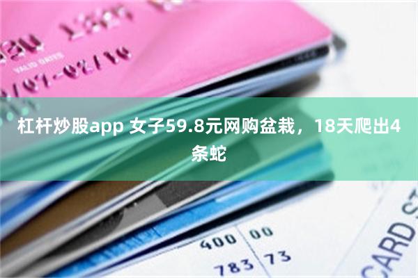 杠杆炒股app 女子59.8元网购盆栽，18天爬出4条蛇