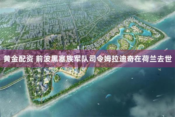 黄金配资 前波黑塞族军队司令姆拉迪奇在荷兰去世