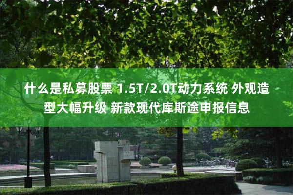 什么是私募股票 1.5T/2.0T动力系统 外观造型大幅升级 新款现代库斯途申报信息