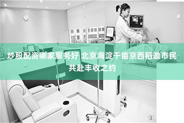 炒股配资哪家服务好 北京海淀千亩京西稻邀市民共赴丰收之约