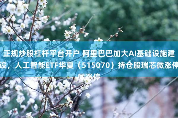 正规炒股杠杆平台开户 阿里巴巴加大AI基础设施建设，人工智能ETF华夏（515070）持仓股瑞芯微涨停