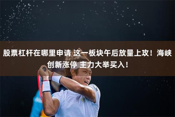 股票杠杆在哪里申请 这一板块午后放量上攻！海峡创新涨停 主力大举买入！