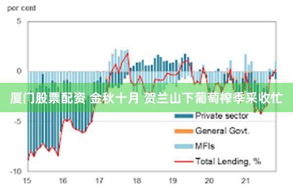 厦门股票配资 金秋十月 贺兰山下葡萄榨季采收忙