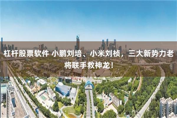 杠杆股票软件 小鹏刘培、小米刘桢，三大新势力老将联手救神龙！