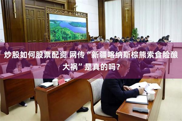 炒股如何股票配资 网传“新疆喀纳斯棕熊索食险酿大祸”是真的吗？